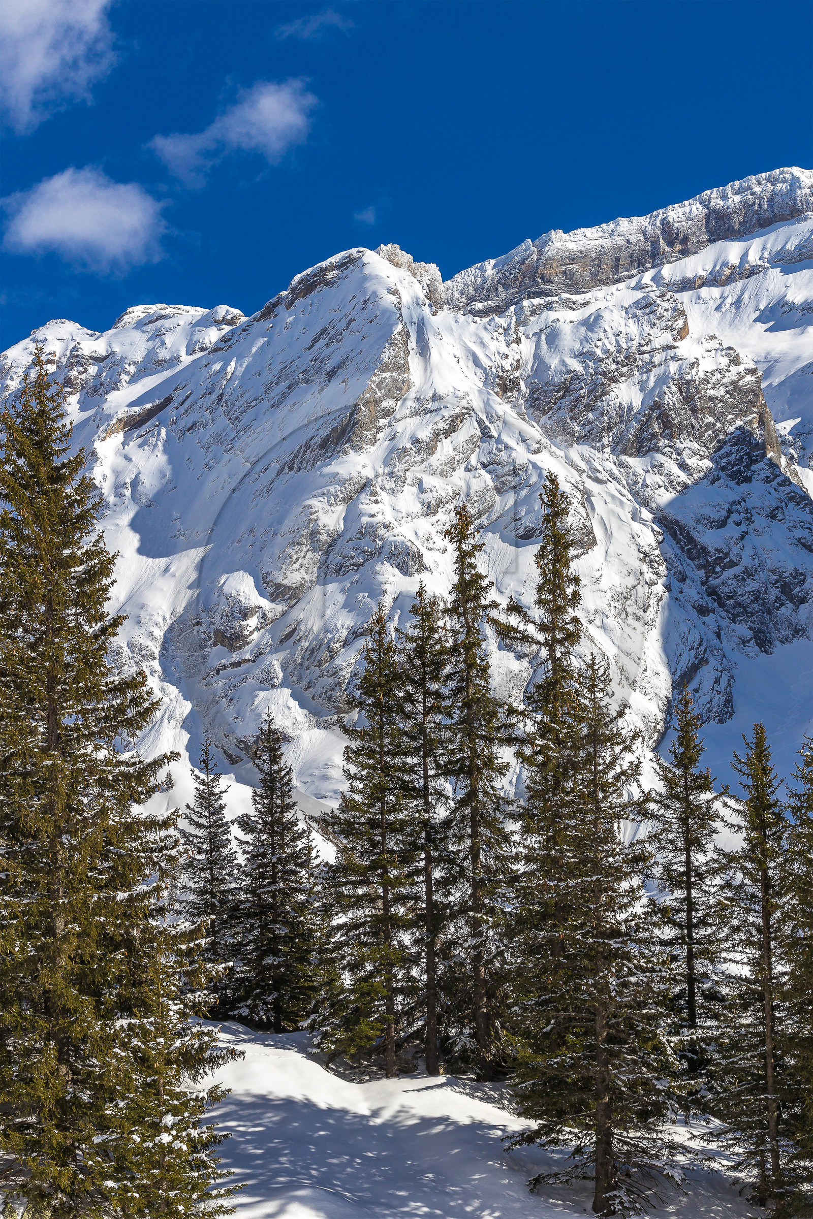Pralognan-la-Vanoise