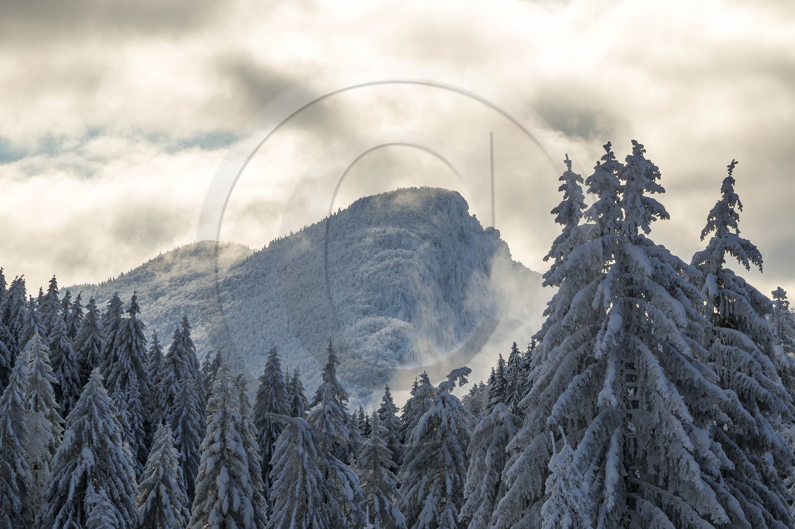 ENS de l'Isère, Les Ecouges