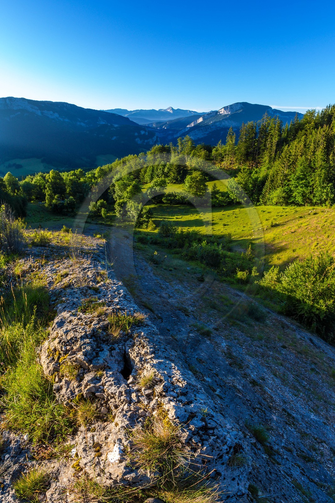ENS de l'Isère, vallée fossile des Rimets