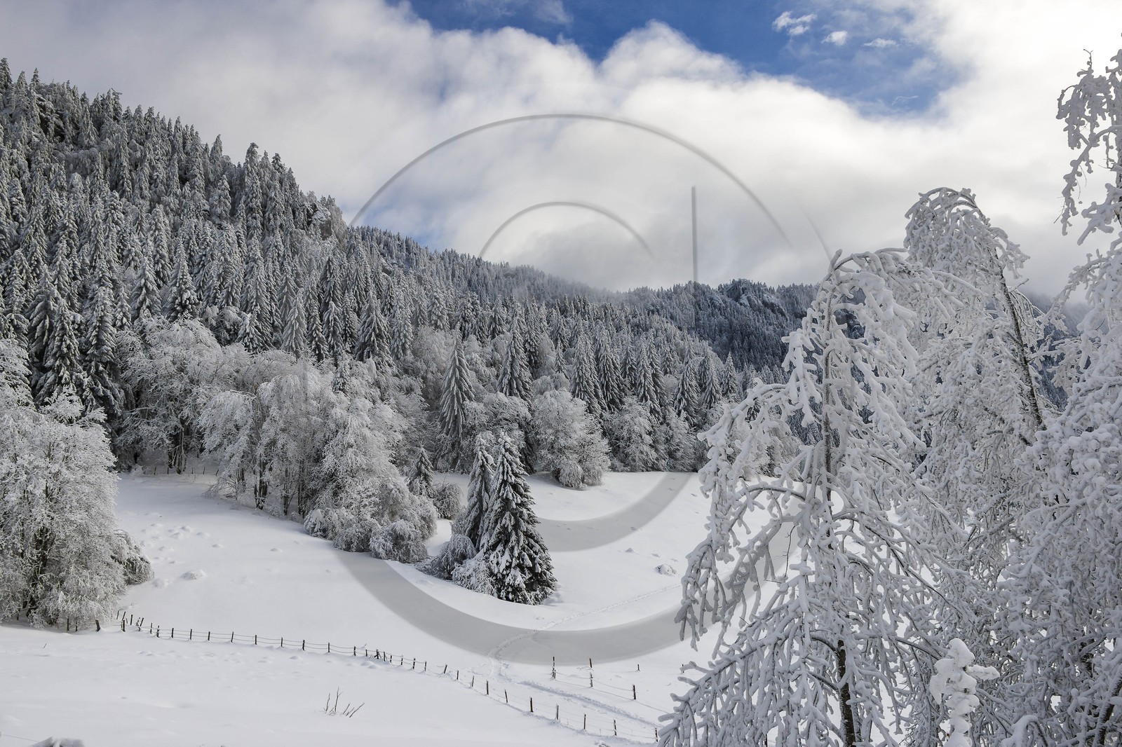ENS de l'Isère, Les Ecouges