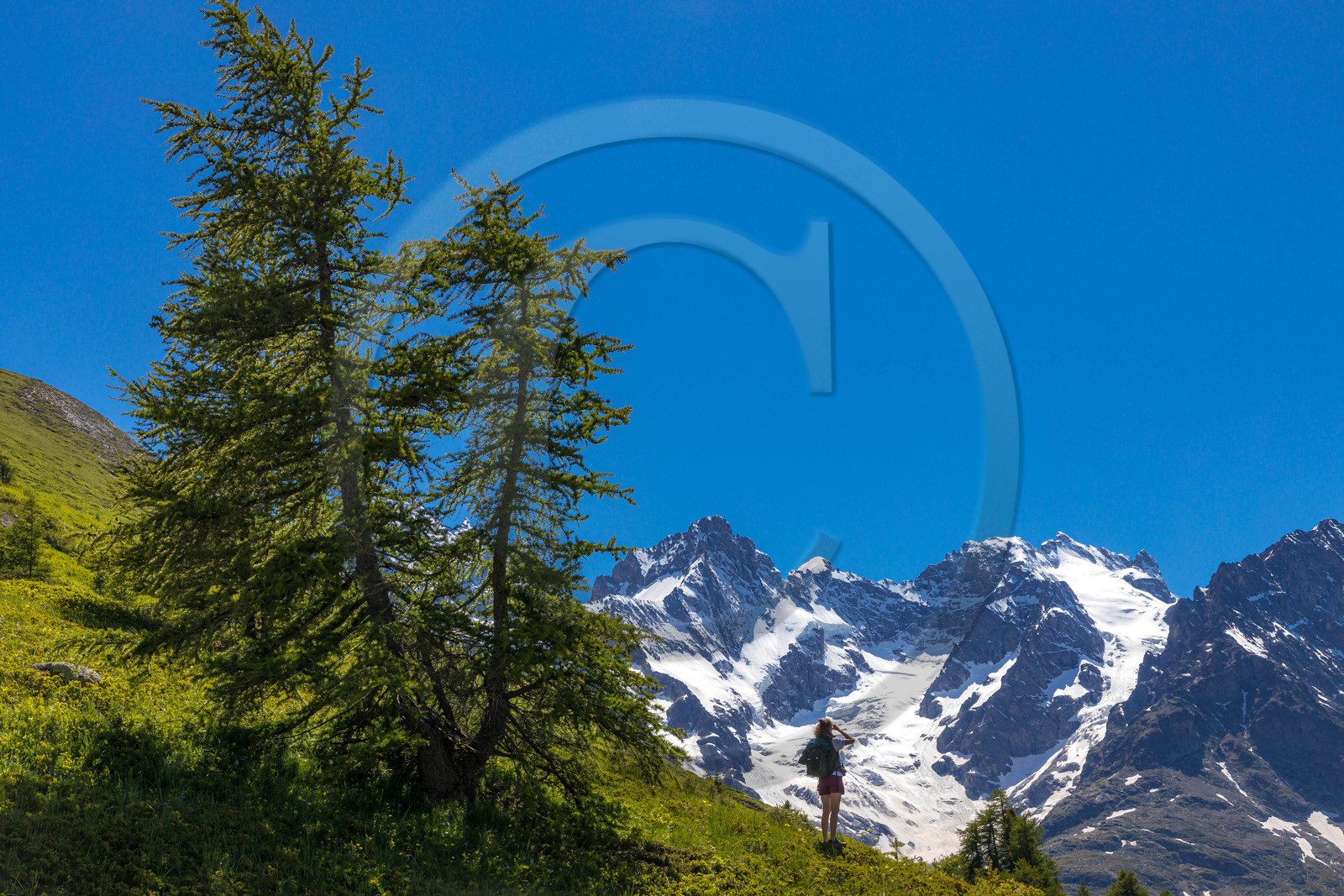 Col du Lautaret, La Meije