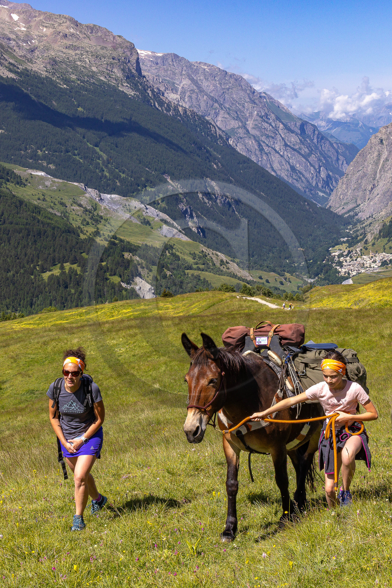 Trek famille avec animaux de bats