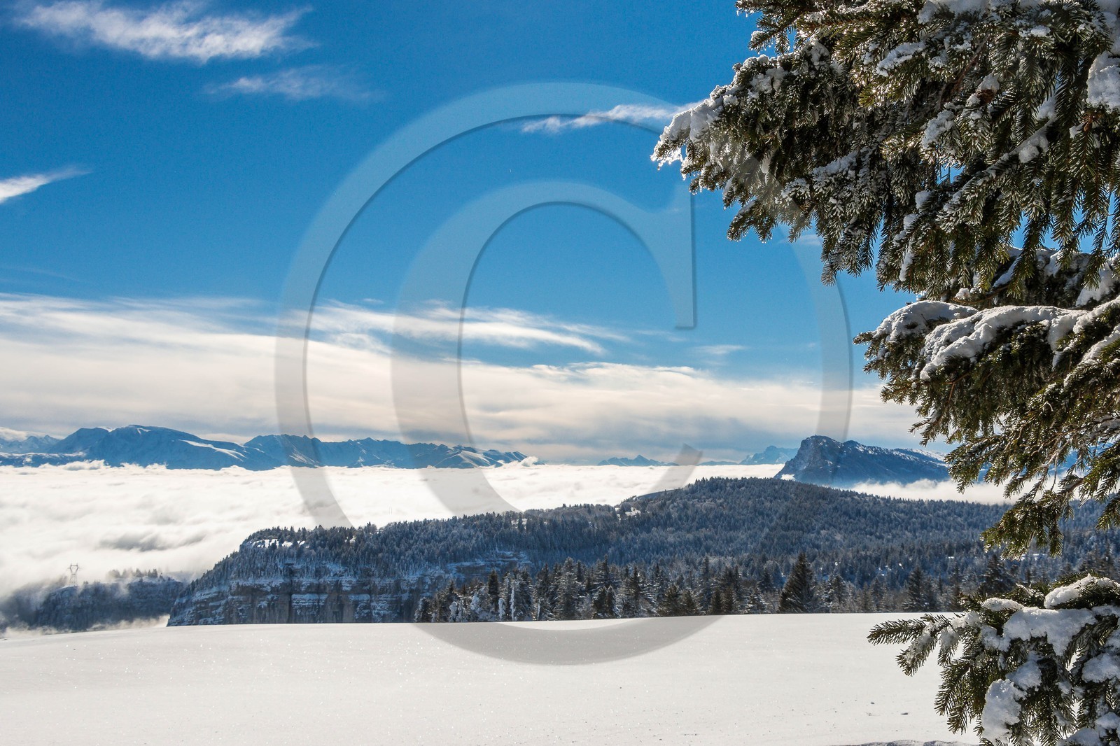 ENS de l'Isère, Plateau de la Molière et du Sornin