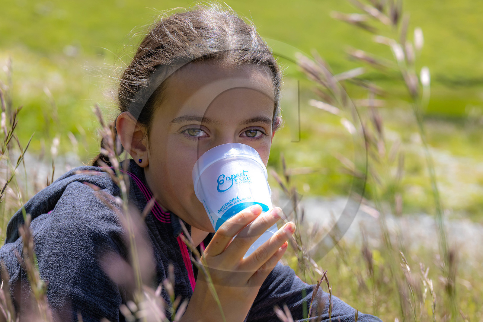 Trek famille avec animaux de bats