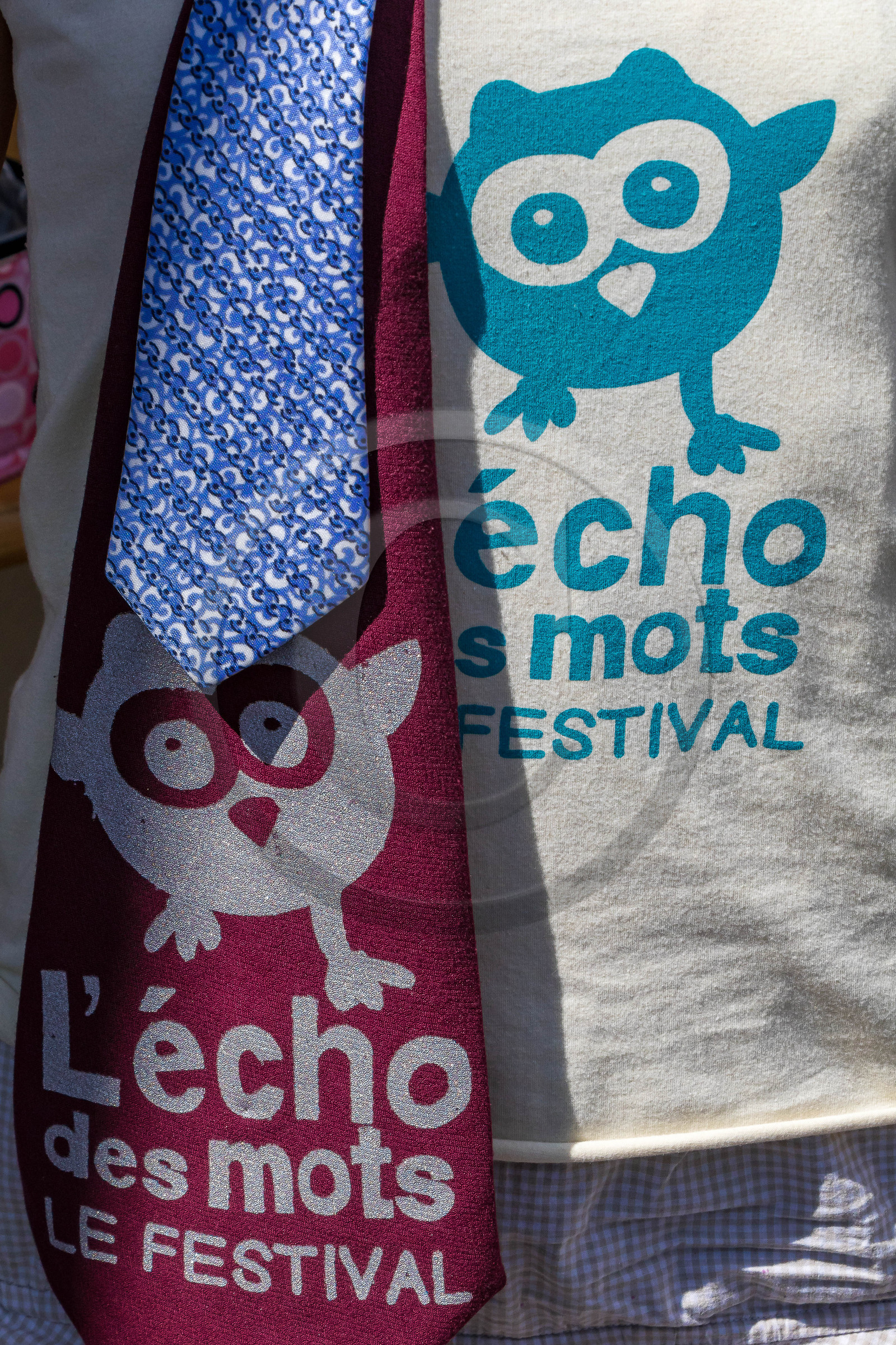 Festival L'Echo des mots