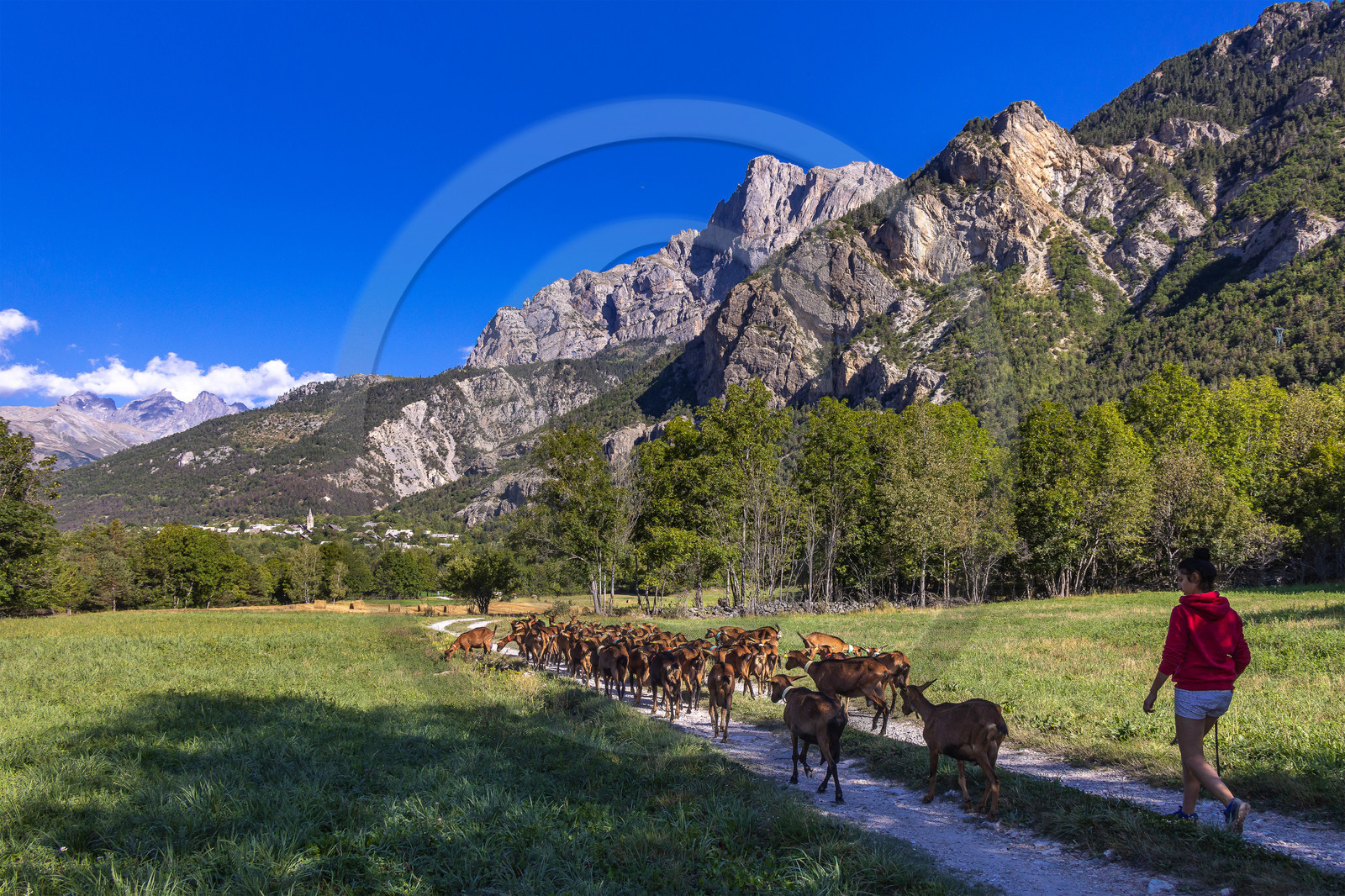 Gaec La Ferme des Ecrins
