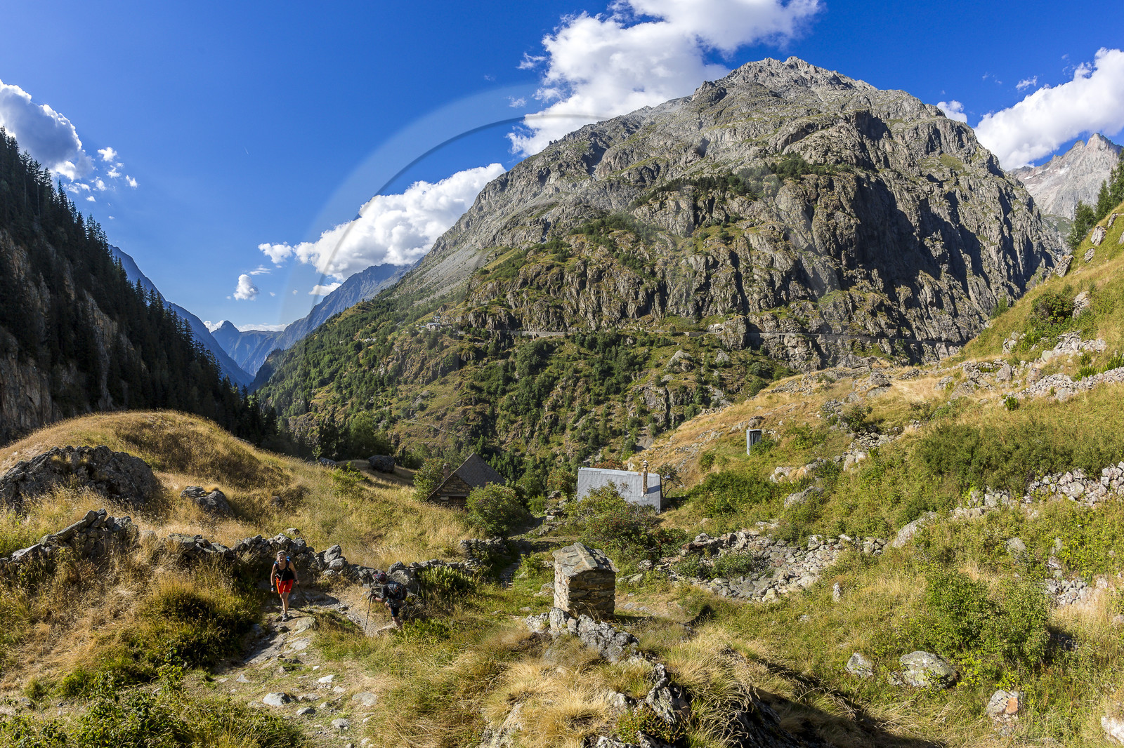 Randonnée pédestre