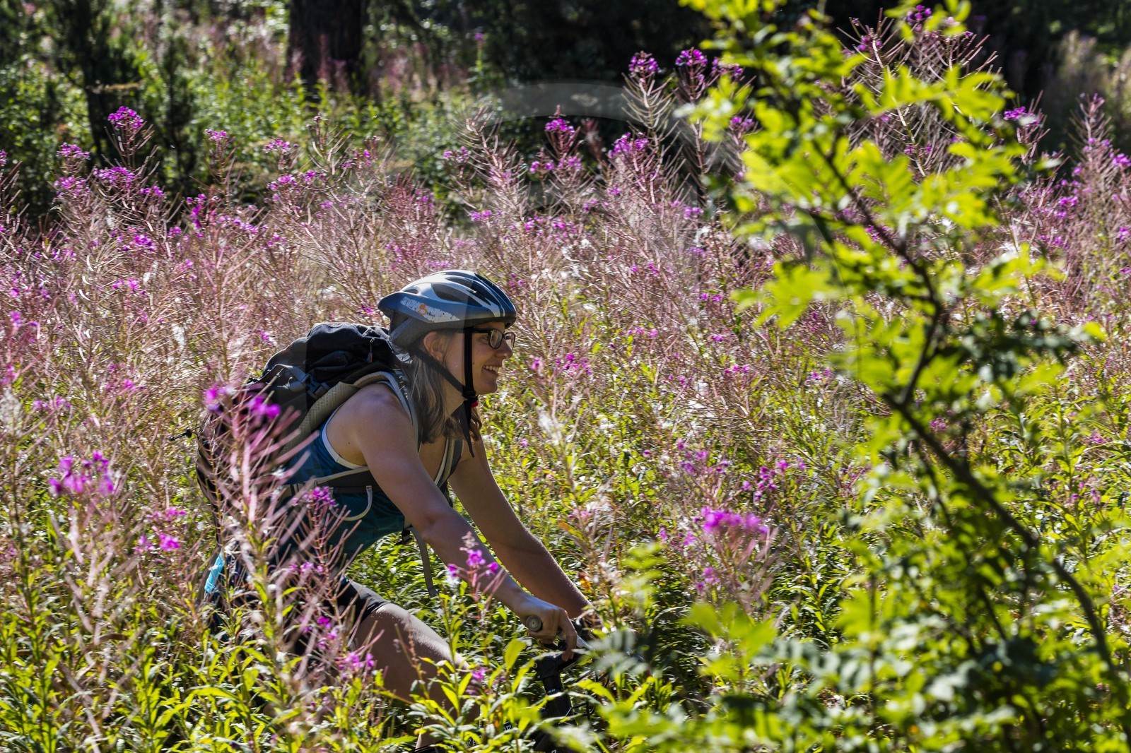 VTT Grand tour des Ecrins
