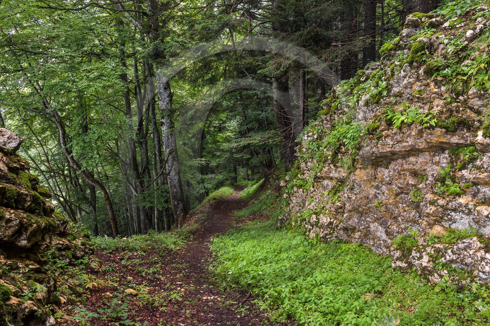 ENS de l'Isère, Les Ecouges