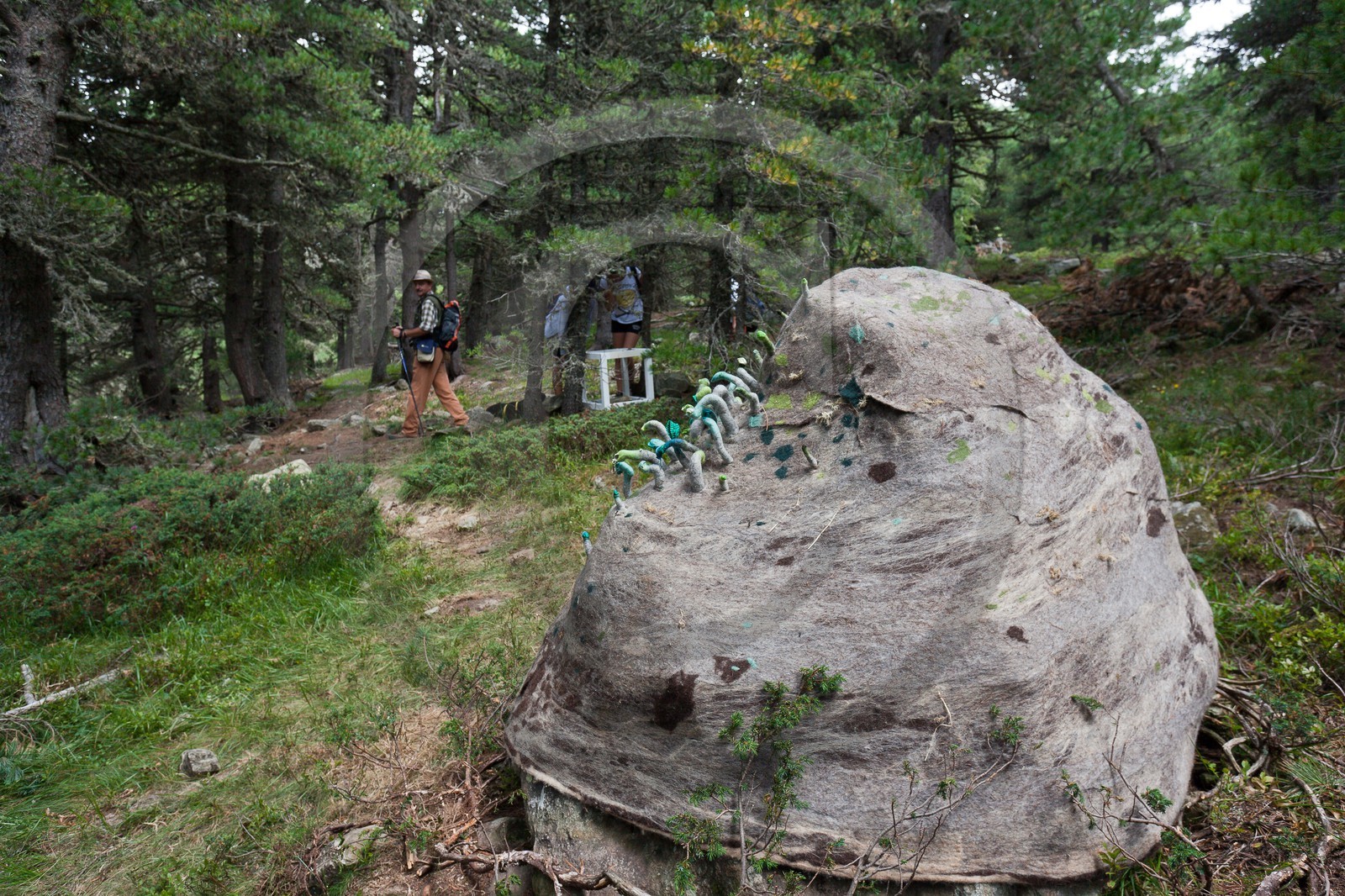 Sentiers Art et Nature Queyras et Val Varaita, Stéphanie Cailleau