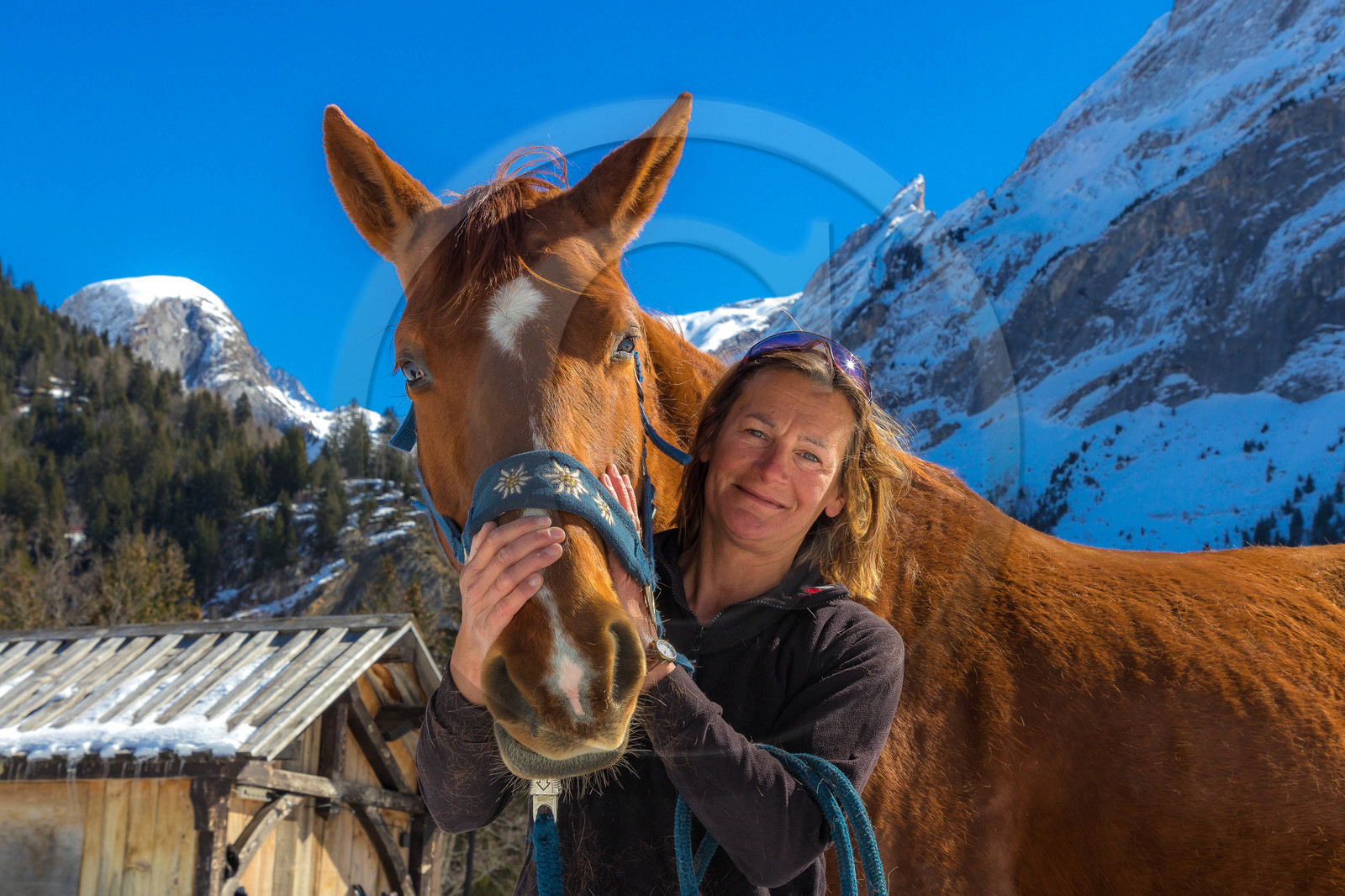 Ranch of Ancolie, Véronique Lefèvre., ski-joëring