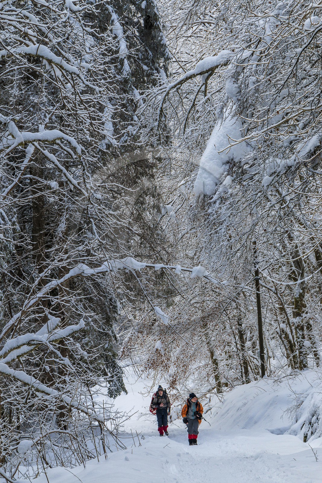 ENS de l'Isère, Les Ecouges