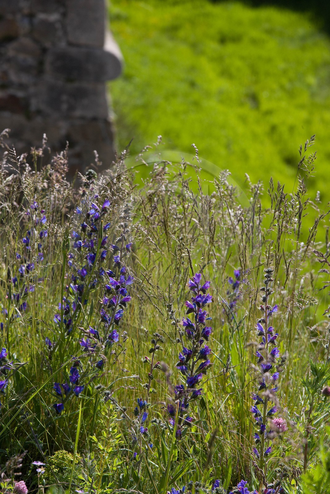Mont-Louis,  Mont-Louis, Fortifications Vauban inscrites au patrimoine mondial de l'humanité