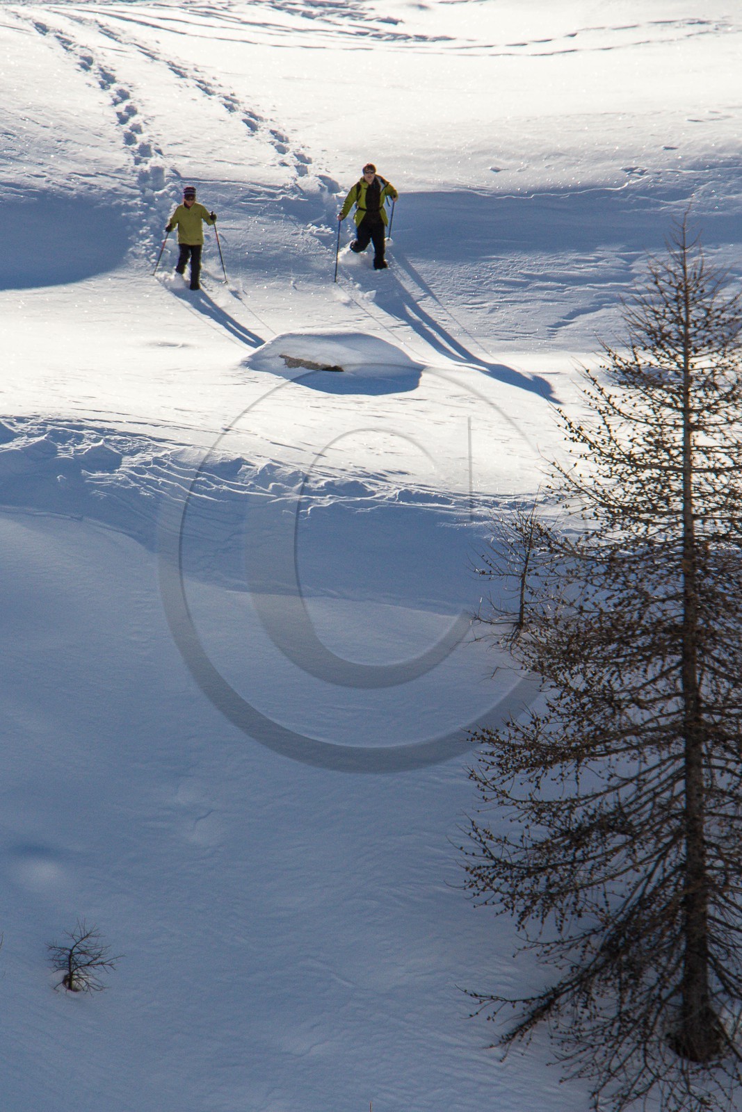 Col de Larche, vallon du lauzanier, randonnée raquettes