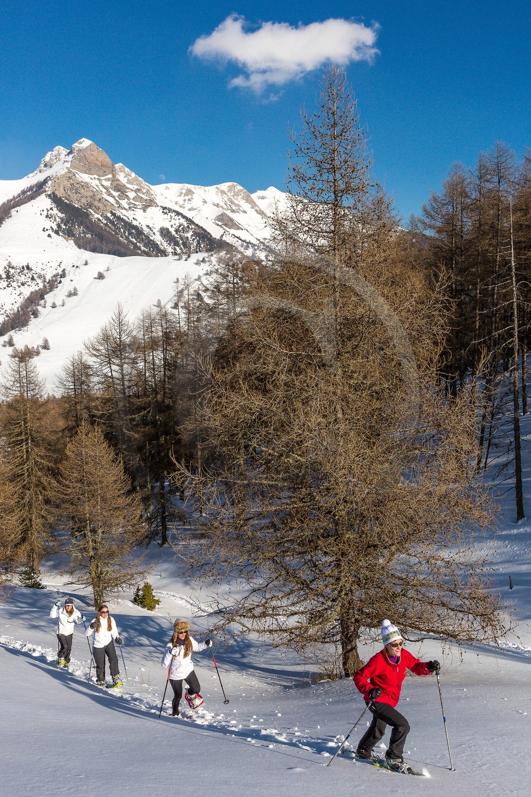 Ancelle, col de Moissière, randonnée à raquettes à neige