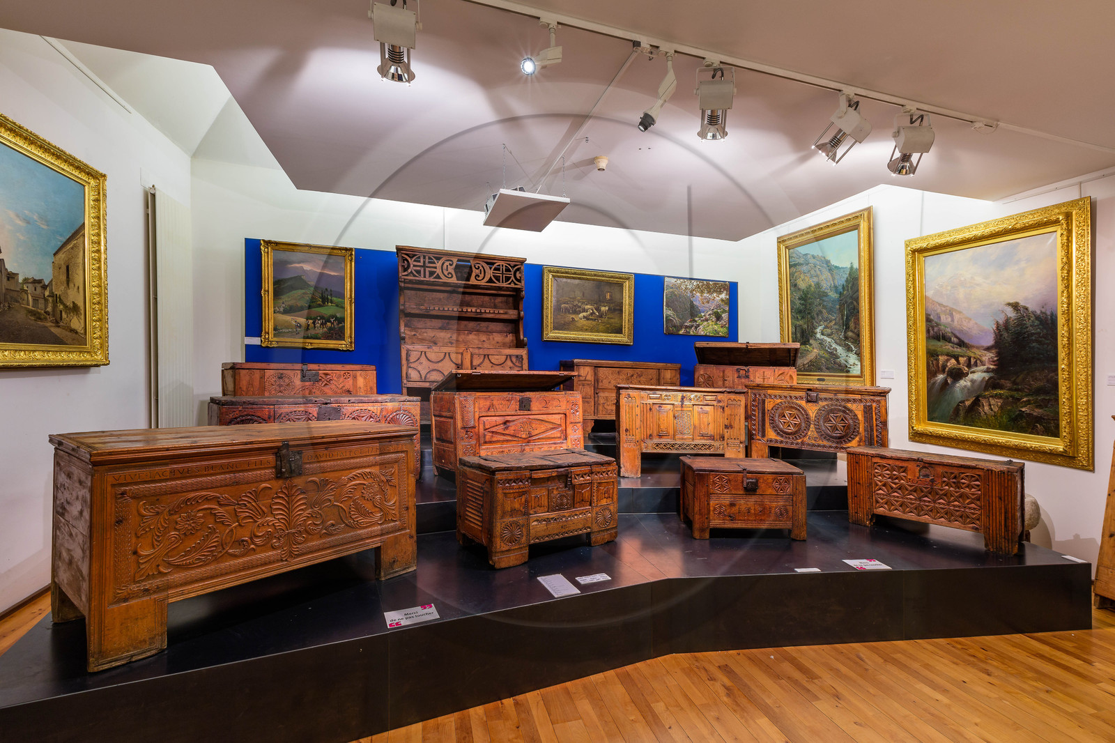 Gap, Musée Muséum départemental des Hautes-Alpes