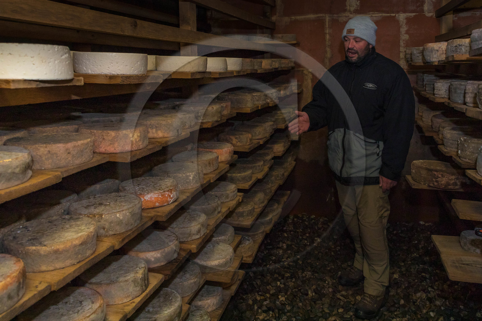 Fromagerie du Plan, Pierrick Rolland, éleveur