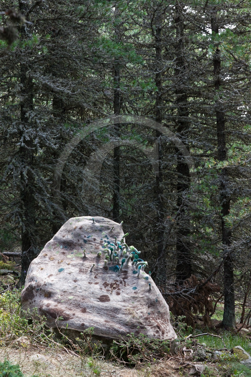 Sentiers Art et Nature Queyras et Val Varaita, Stéphanie Cailleau