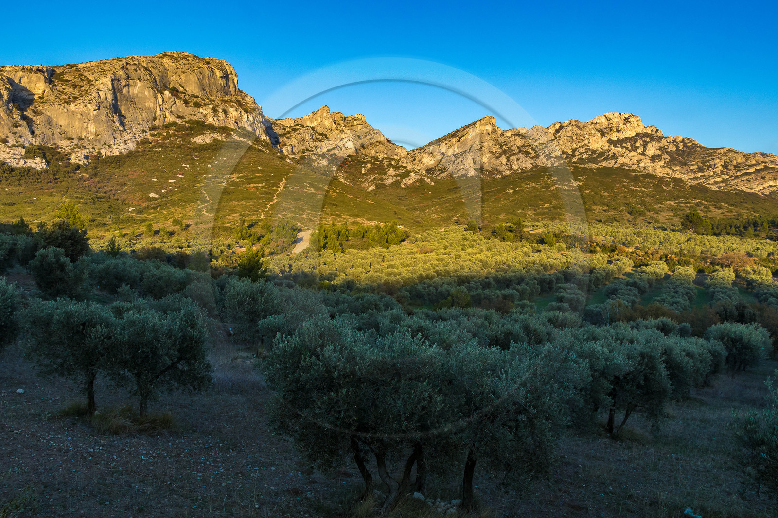 Les Baux de Provence, Domaine La Fabresse