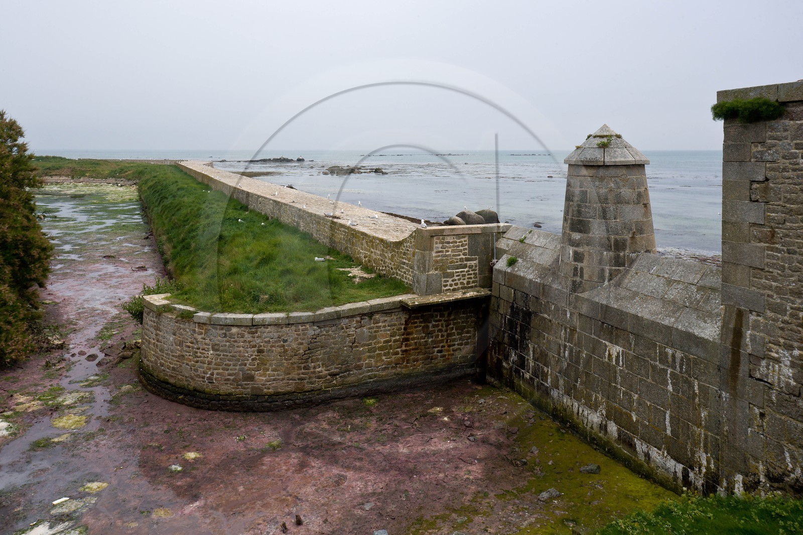 Saint-Vaast-la-Hougue