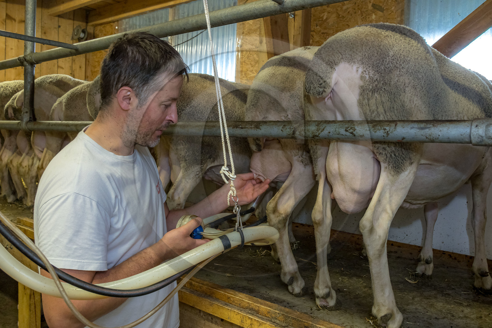 Bergerie de la Lignarre