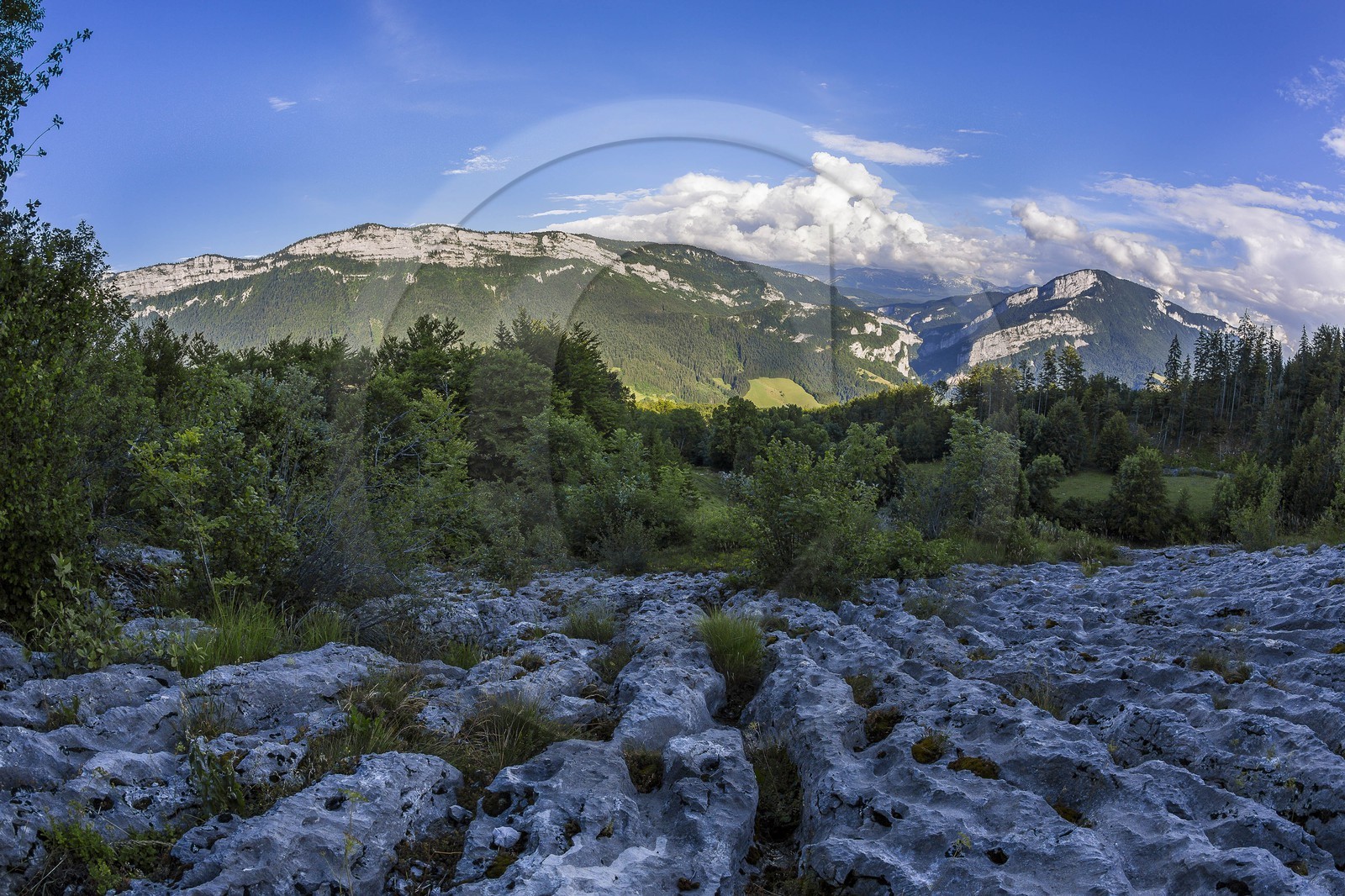 ENS de l'Isère, vallée fossile des Rimets