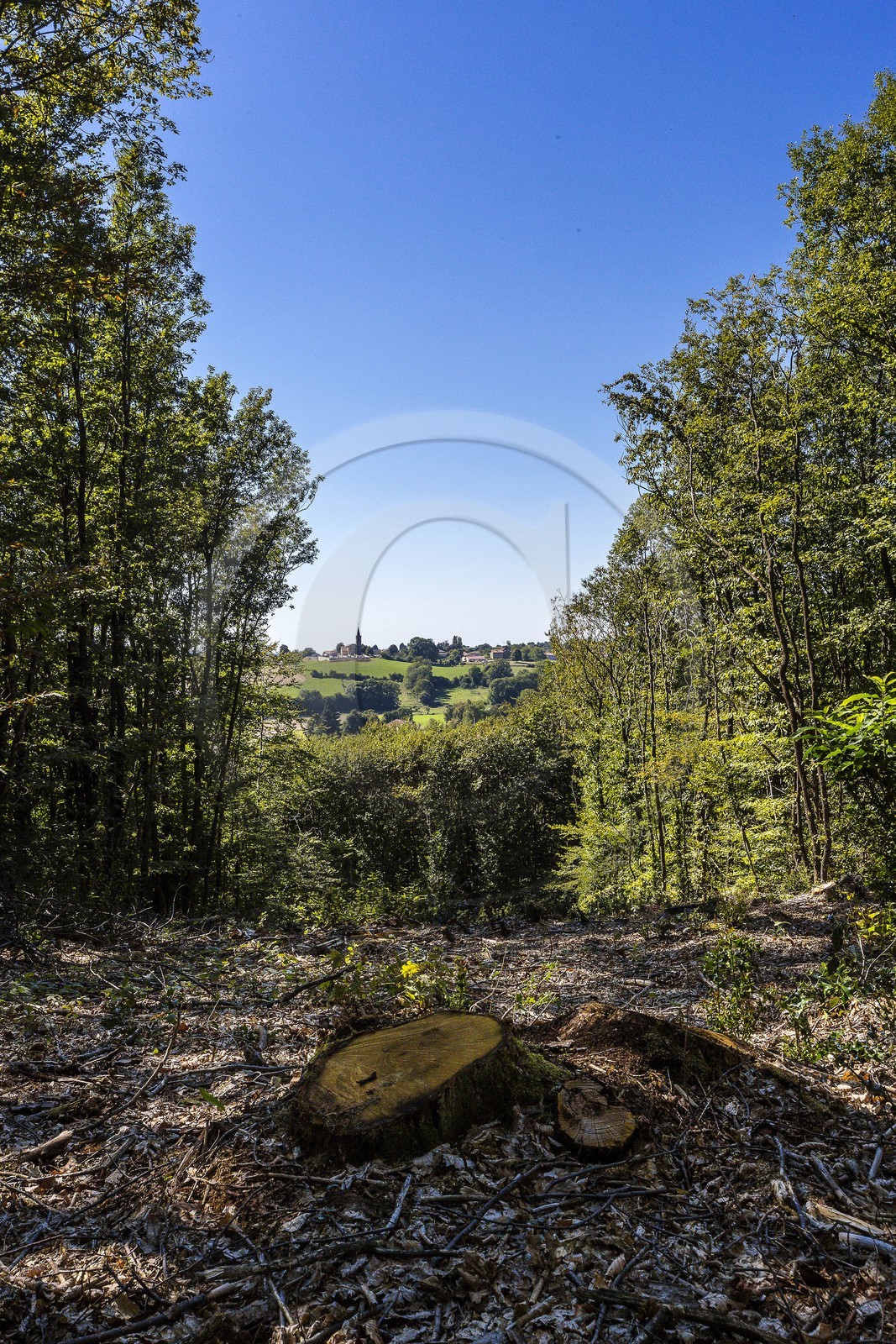 ENS de l'Isère, Etang des Béroudières