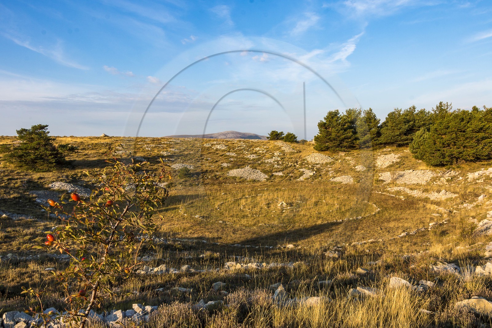 Caussols,  plateau de Calern, doline