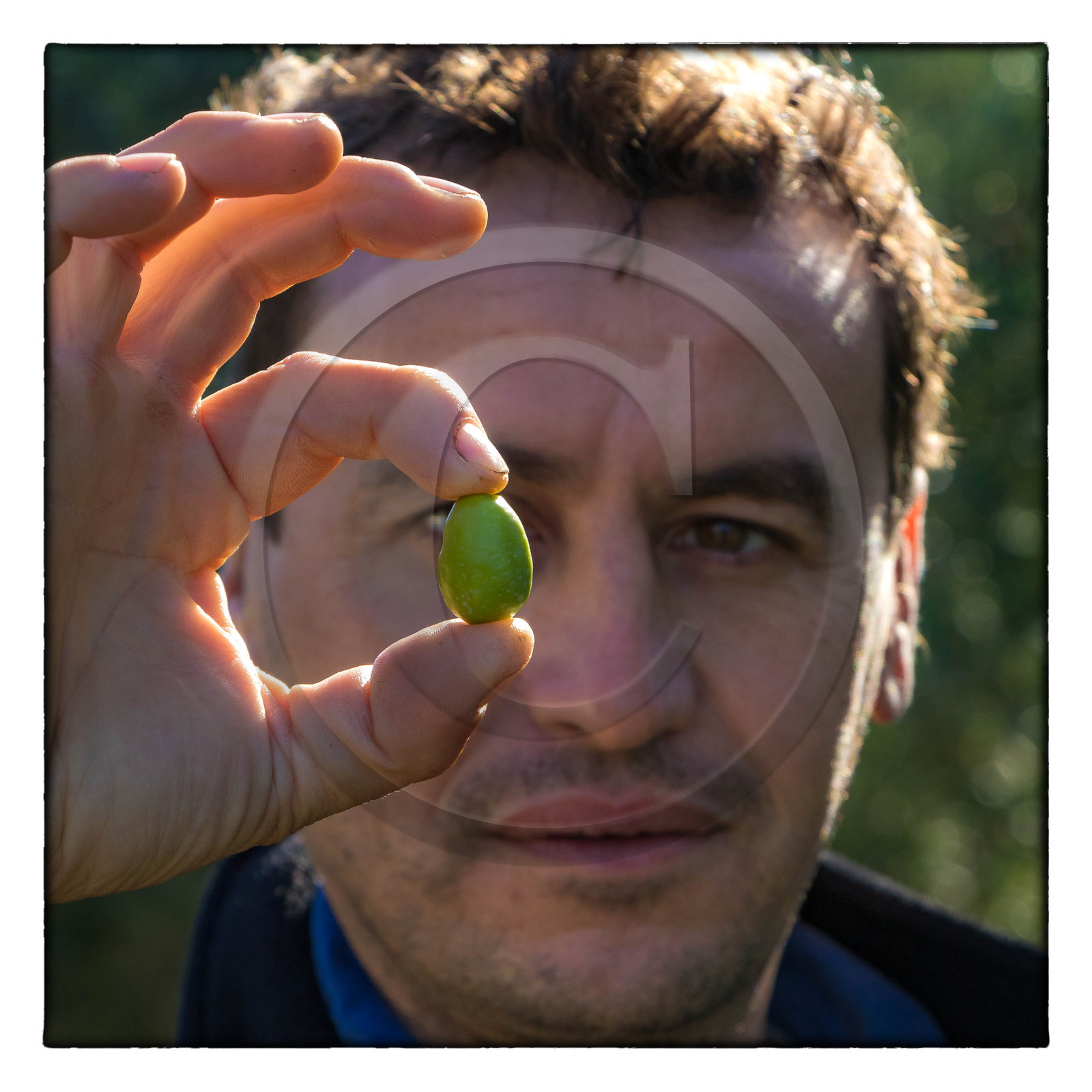 Le verger des Baux, Olivier Roman