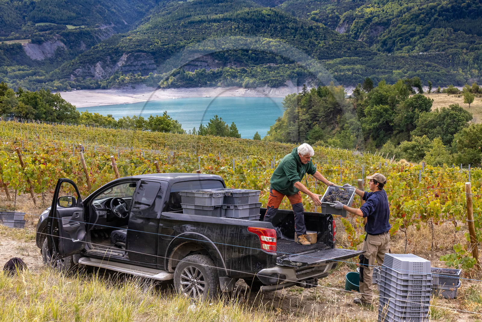 Domaine du Mont Guillaume