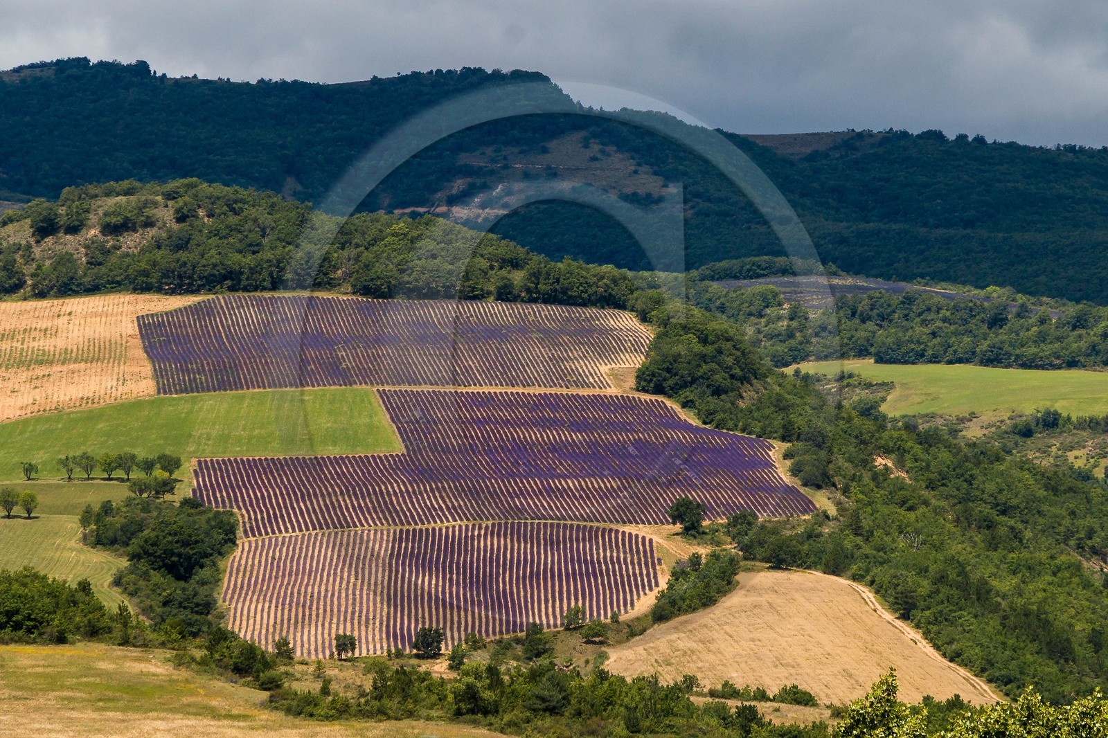 vallée des Duyes, Thoard