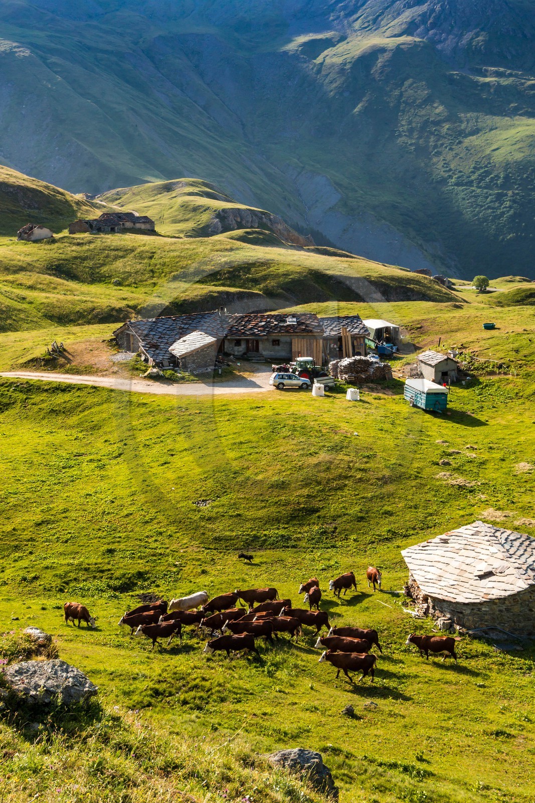 Termignon, alpage de Chavières