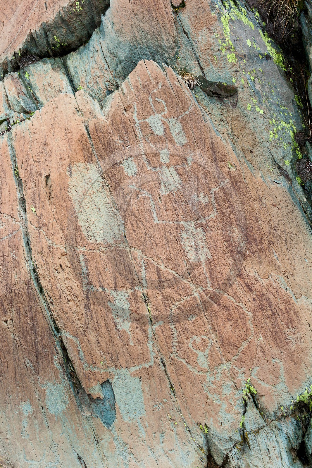 Vallée des Merveilles, gravures rupestres