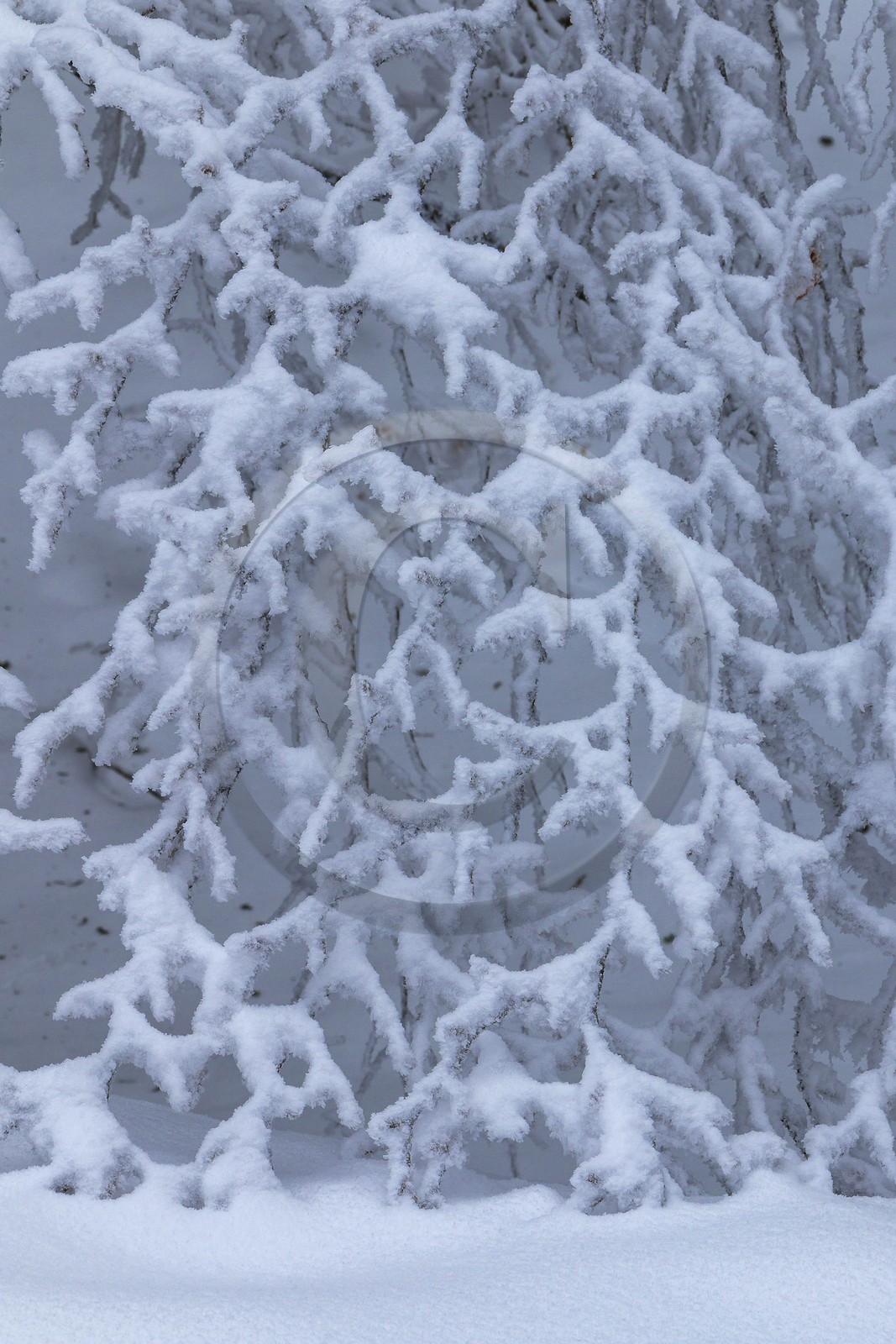 ENS de l'Isère, Les Ecouges