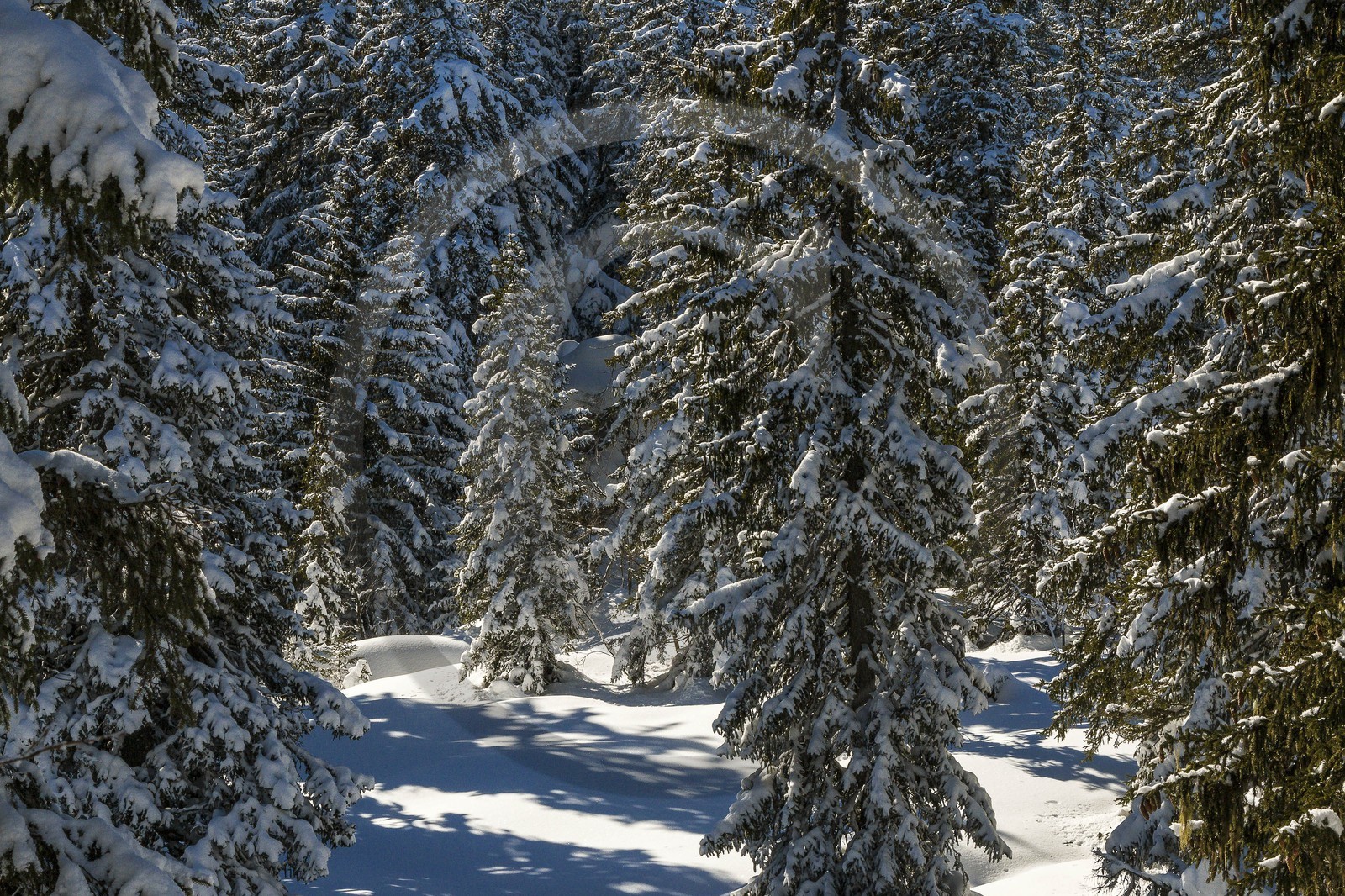 ENS de l'Isère, Plateau de la Molière et du Sornin