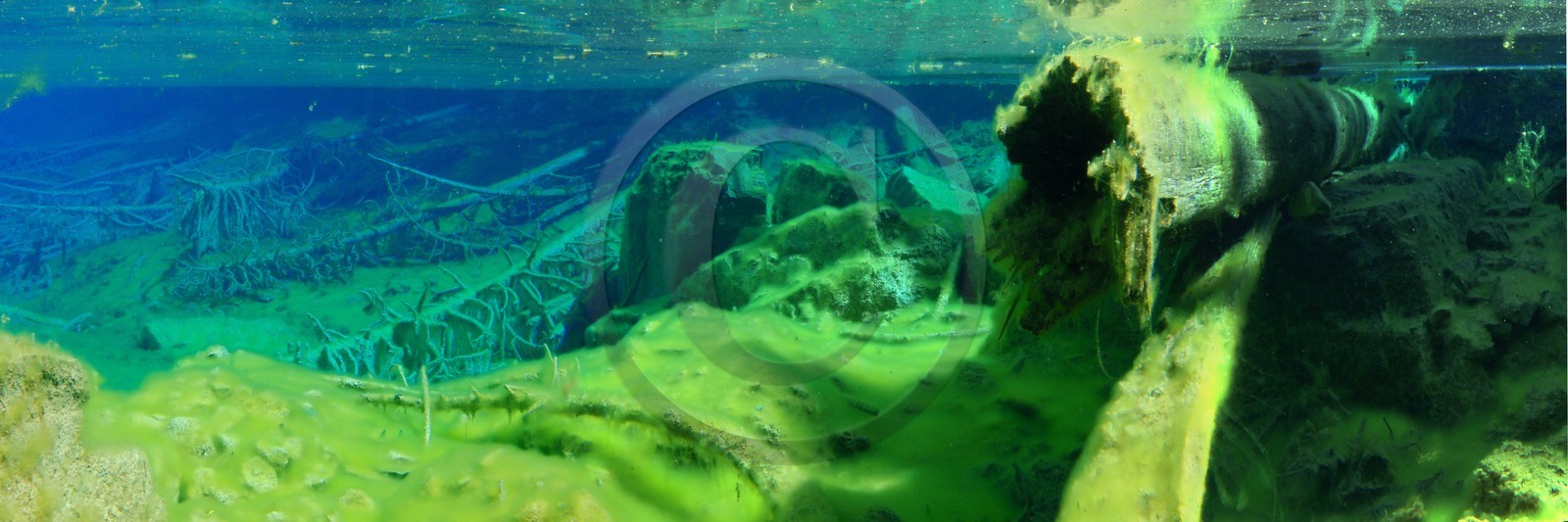 Lac Vert, vallée Etroite