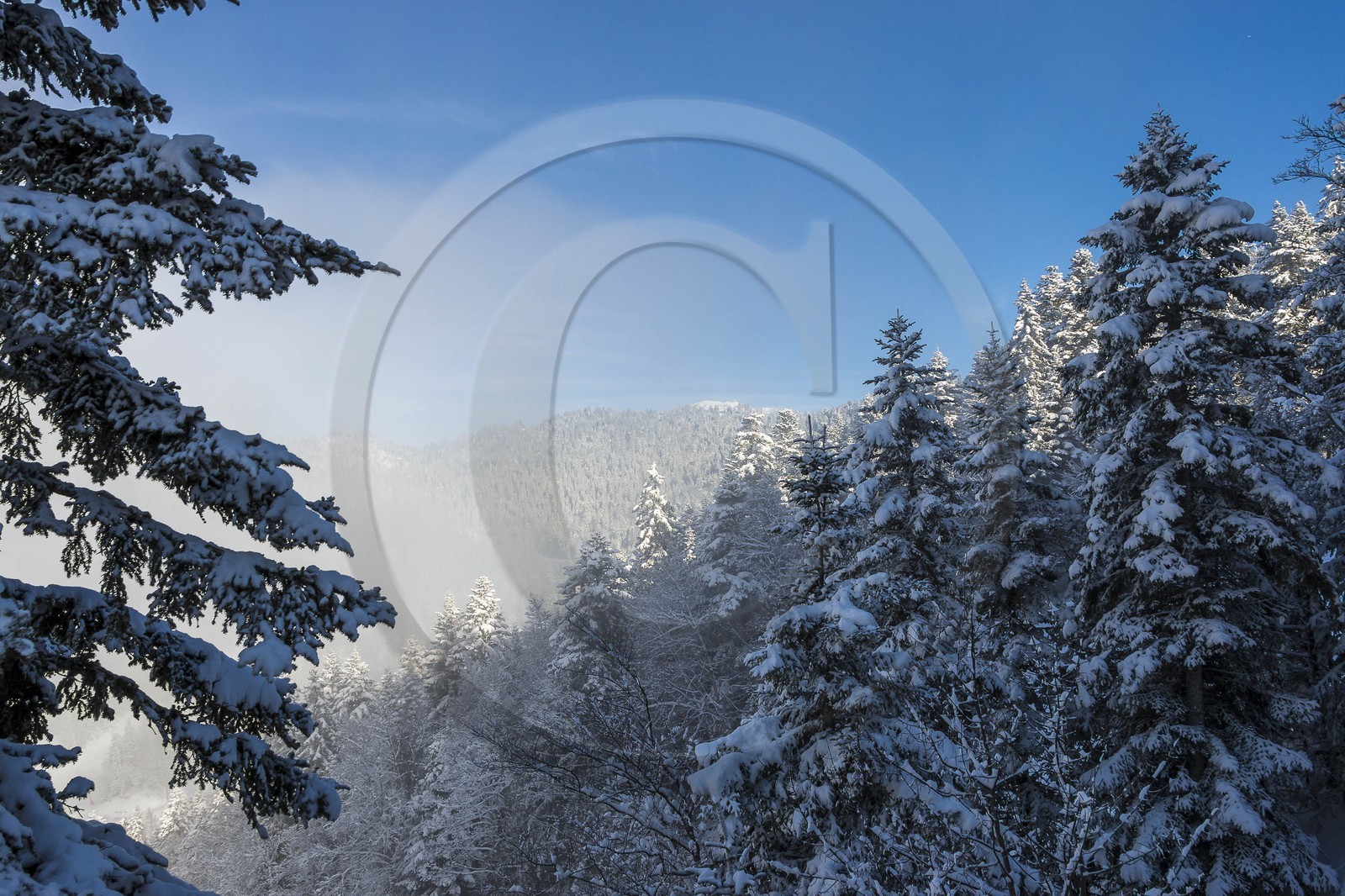 ENS de l'Isère, Plateau de la Molière et du Sornin