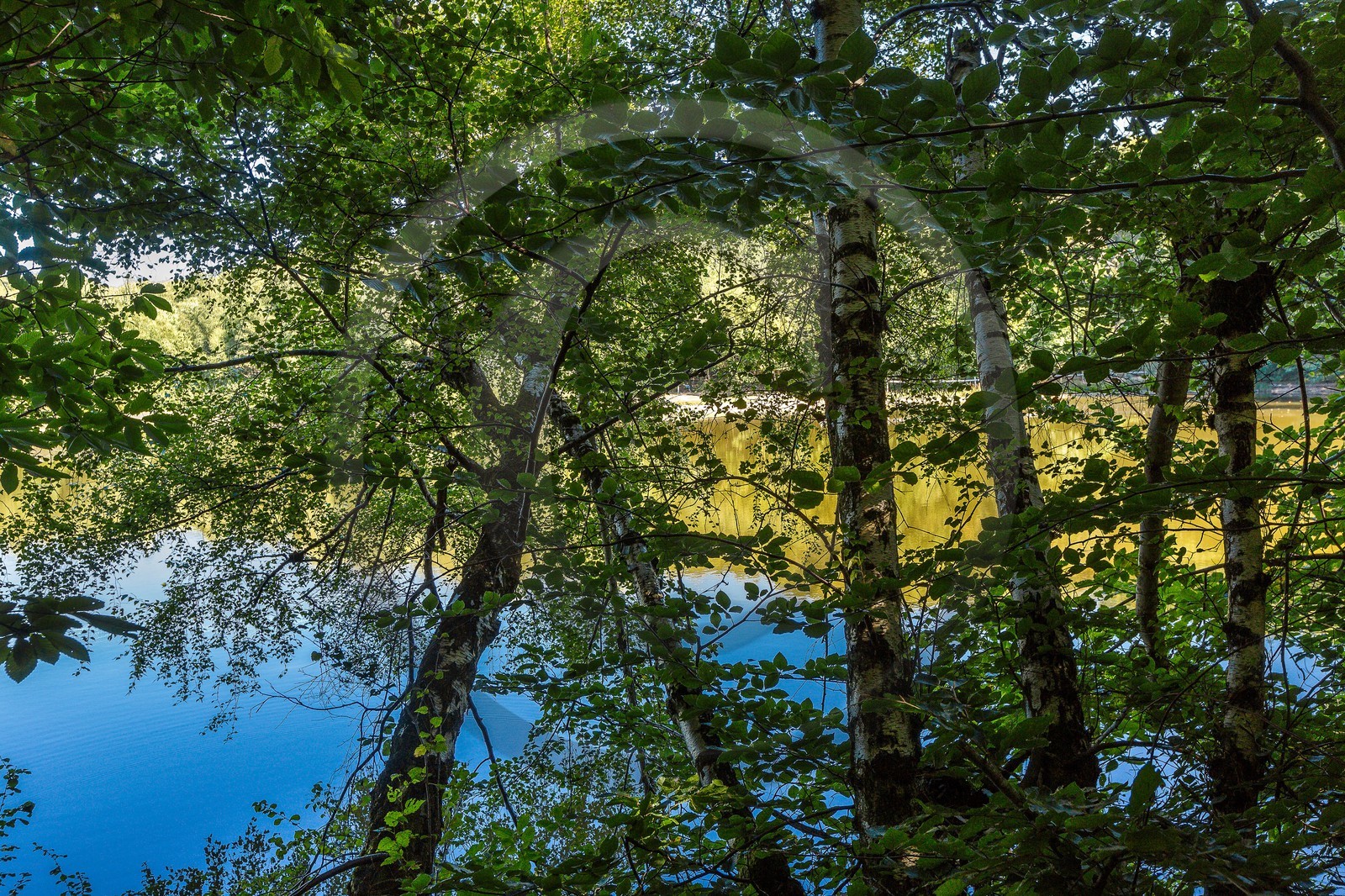 ENS de l'Isère, Etang des Béroudières