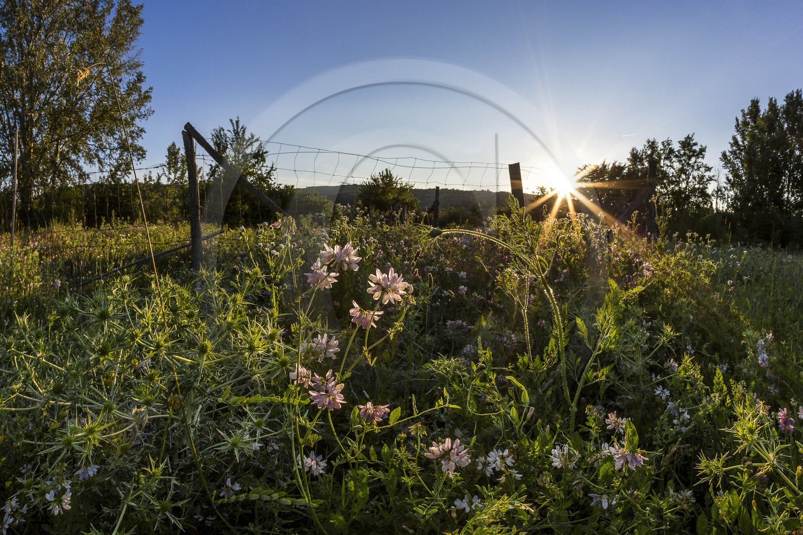ENS de l'Isère, , le méandre des Oves