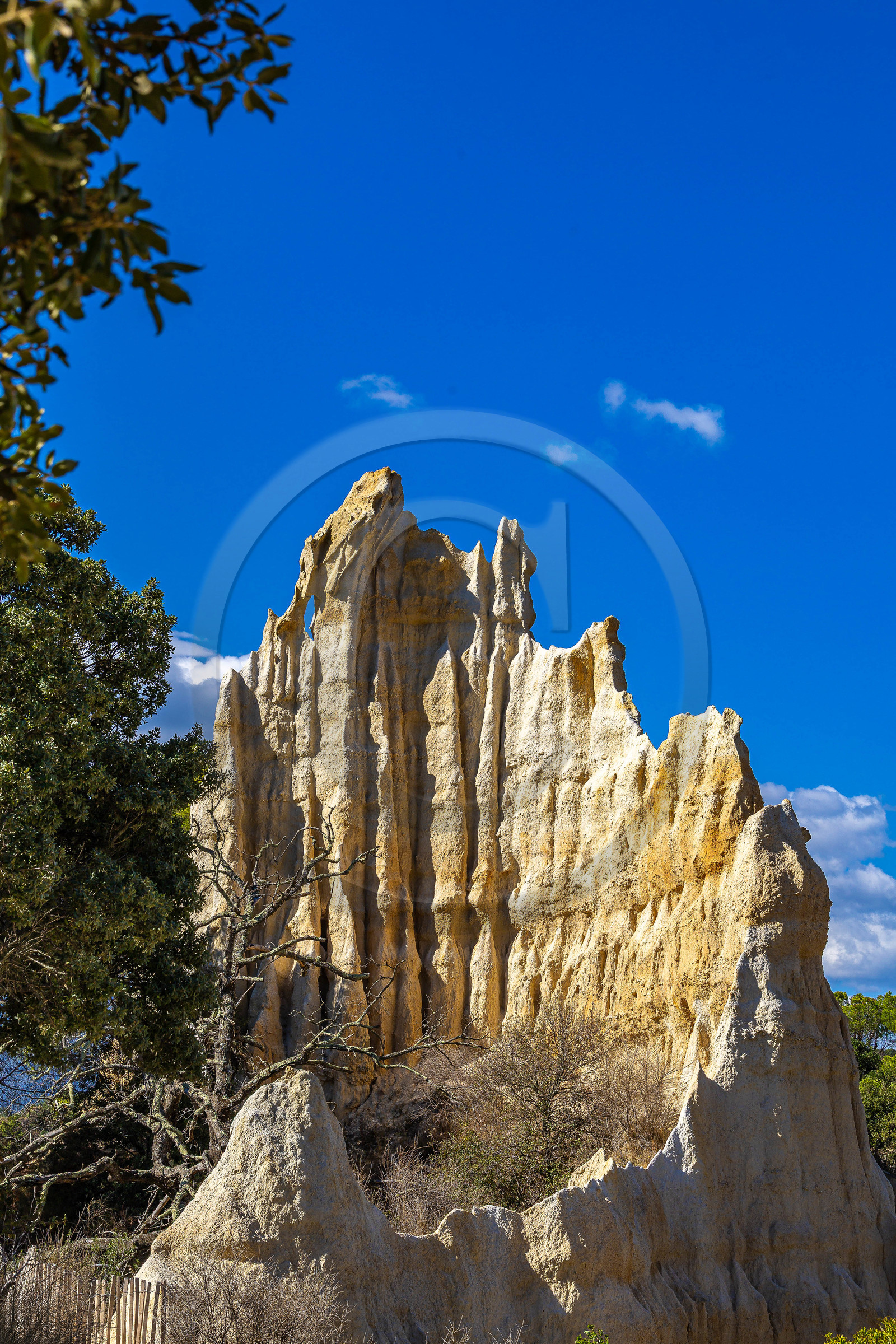 Orgues d'Ille-sur-Têt