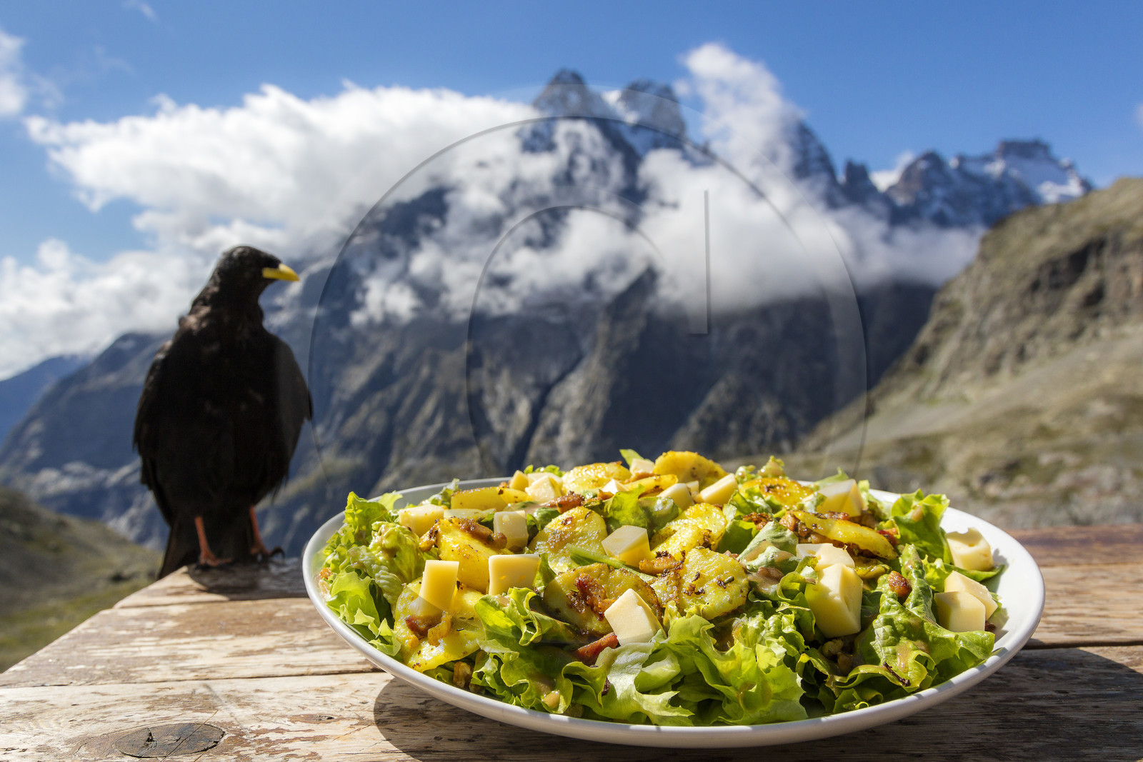 Refuge du Glacier Blanc