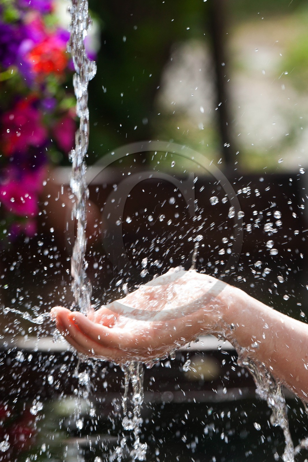 Randonnée famille montagne
