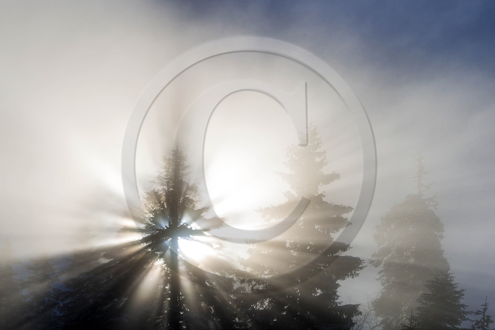 ENS de l'Isère, Plateau de la Molière et du Sornin