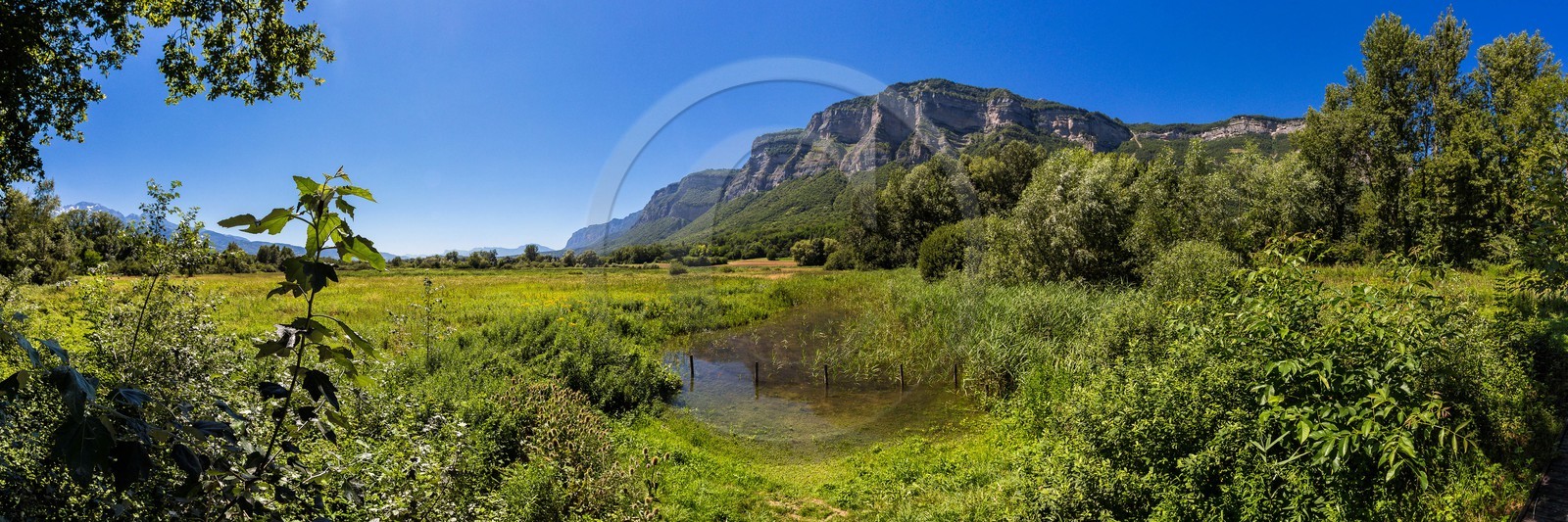 ENS de l'Isère, Marais de Montfort