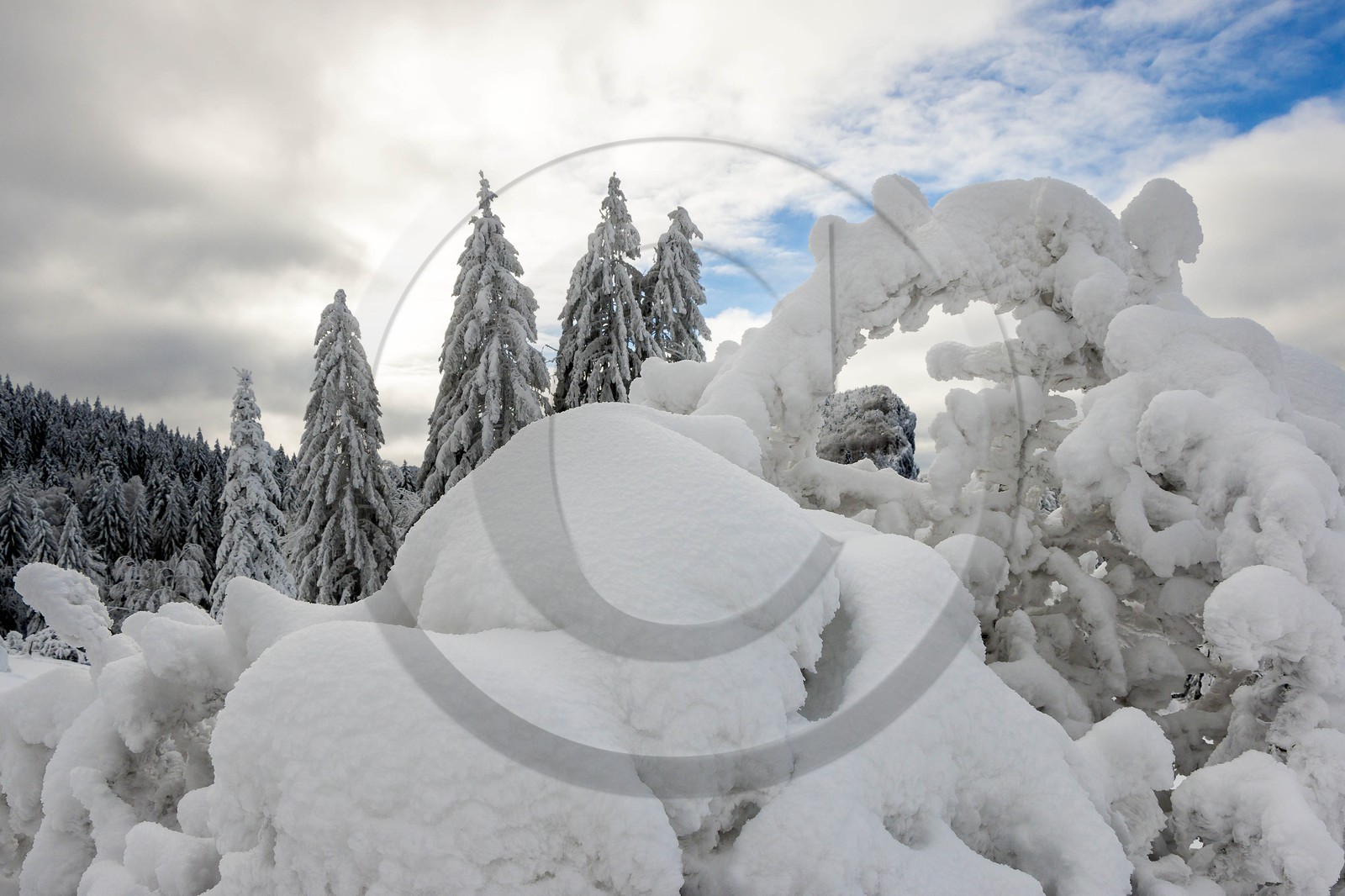 ENS de l'Isère, Les Ecouges