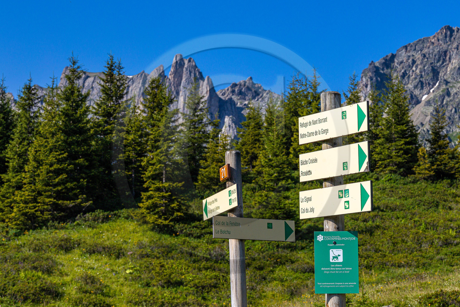 Réserve Naturelle des Contamines-Montjoie