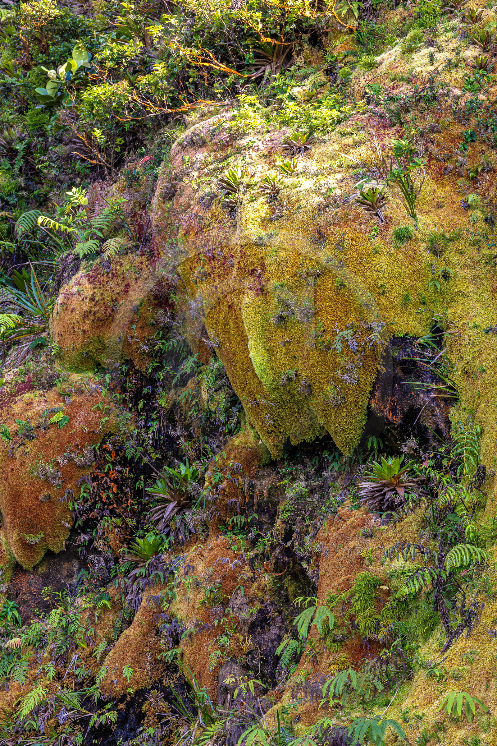 La Soufrière, volcan actif de la Guadeloupe
