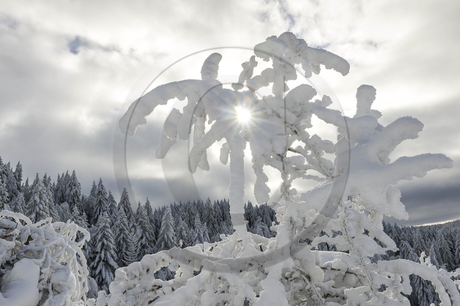 ENS de l'Isère, Les Ecouges