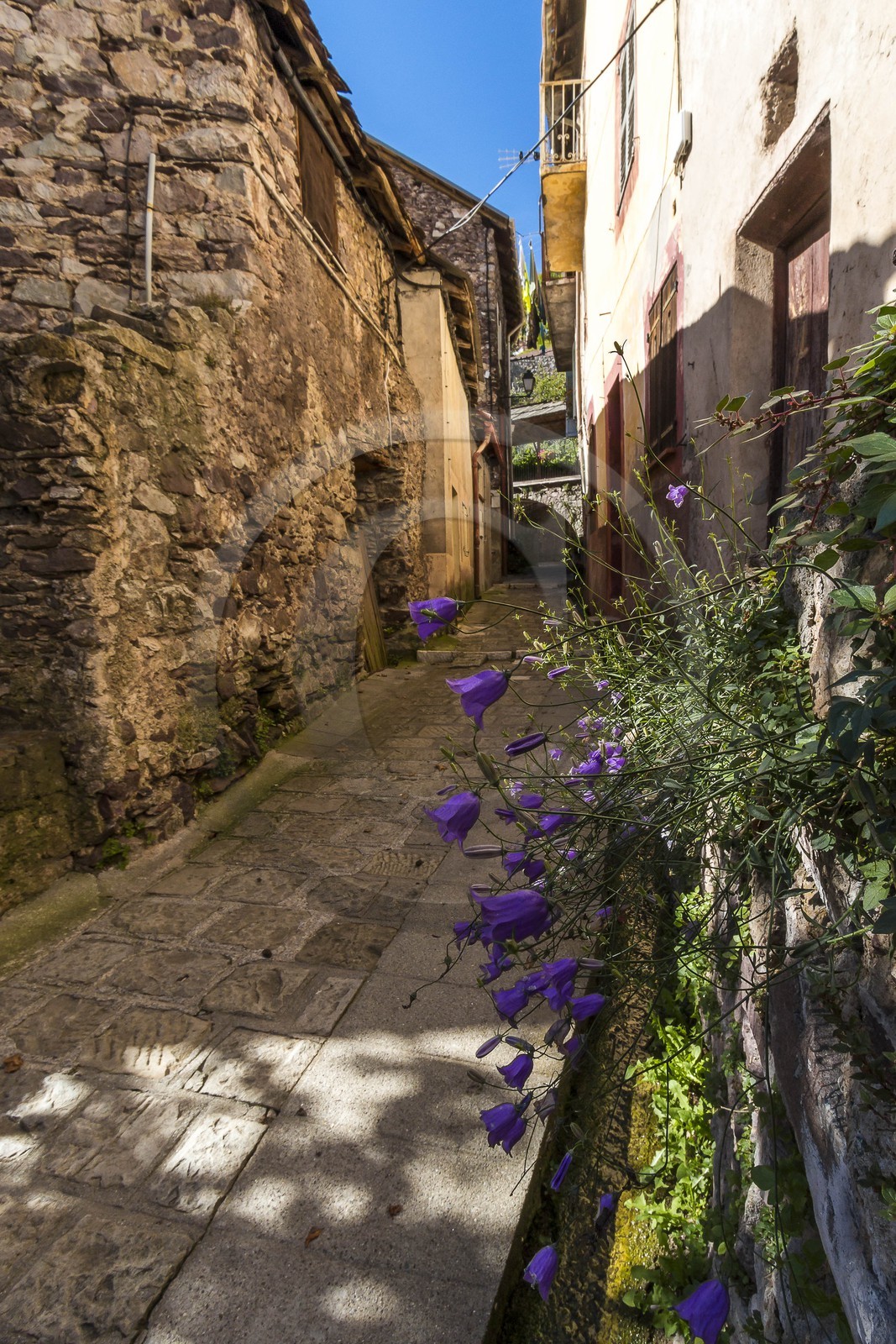 Roure,