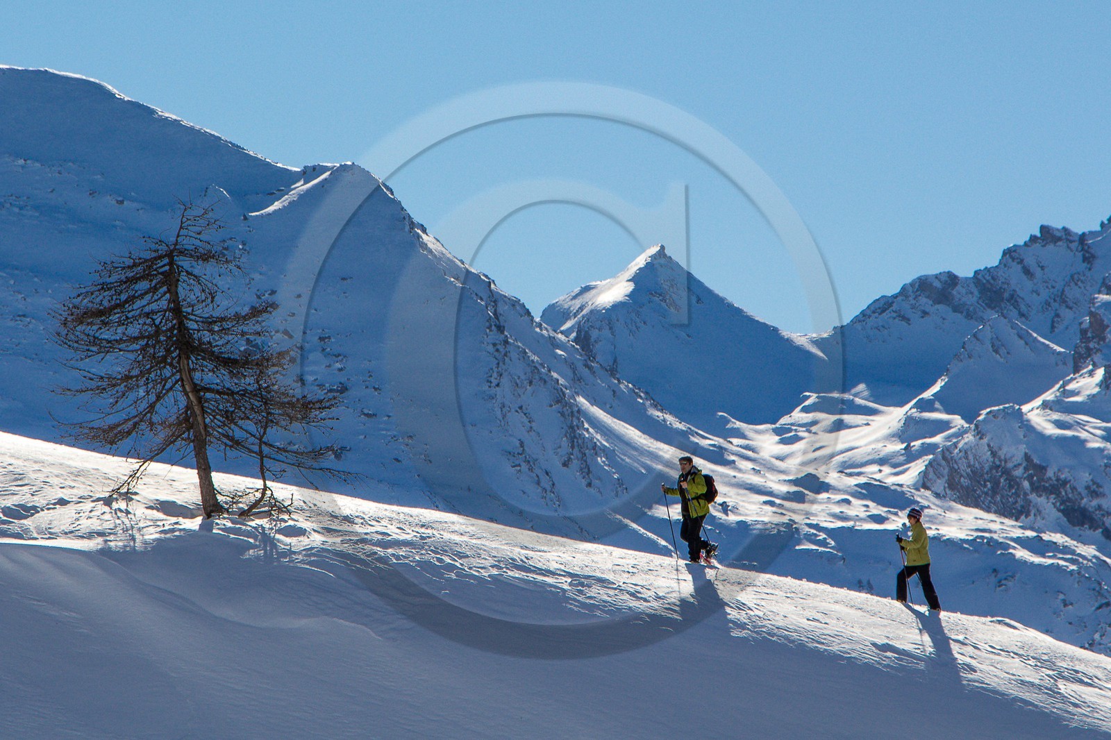 Col de Larche, vallon du lauzanier, randonnée raquettes